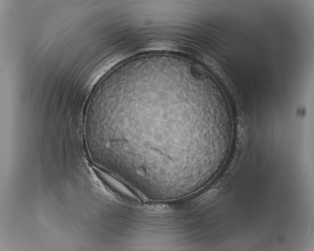 X0000115331129200911161802