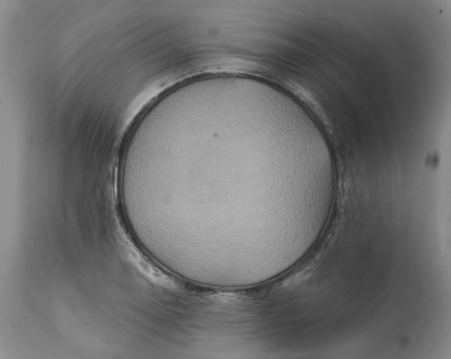 X0000115331130200911161802