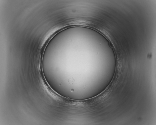 X0000115331131200911161802