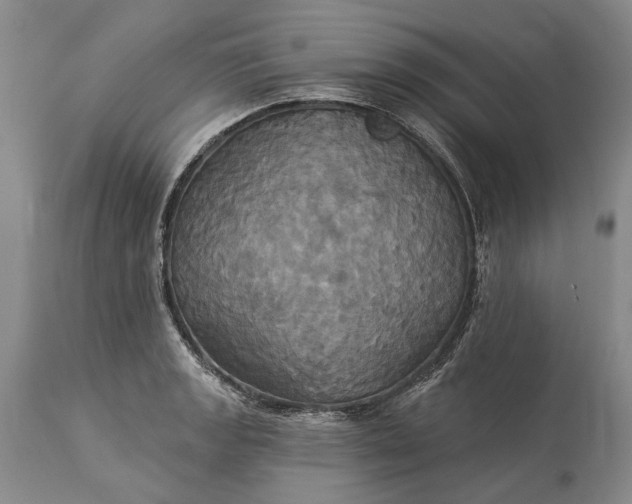 X0000115331133200911161802