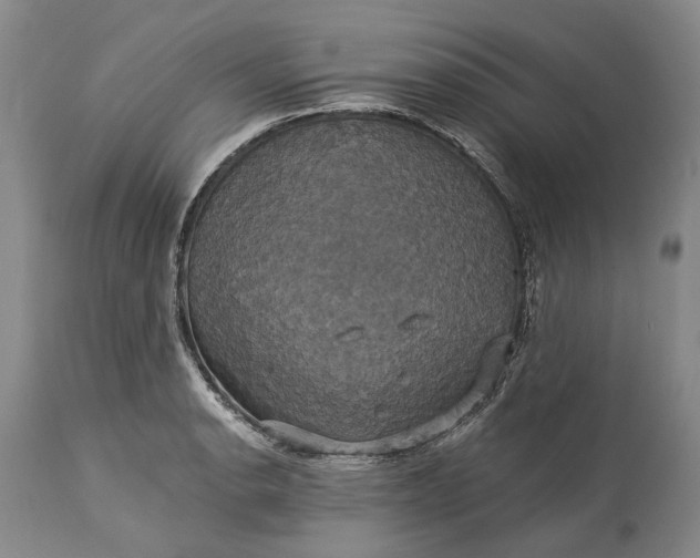 X0000115331134200911161802