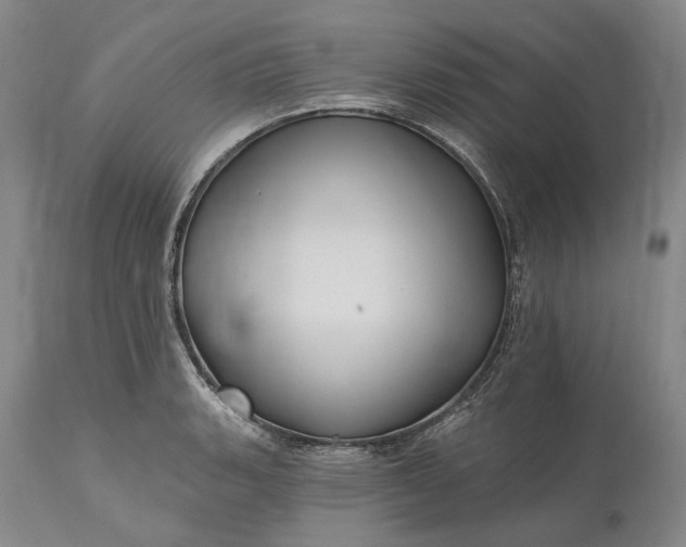 X0000115331135200911161802