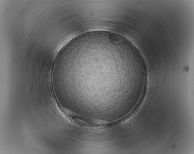 X0000115331137200911161802