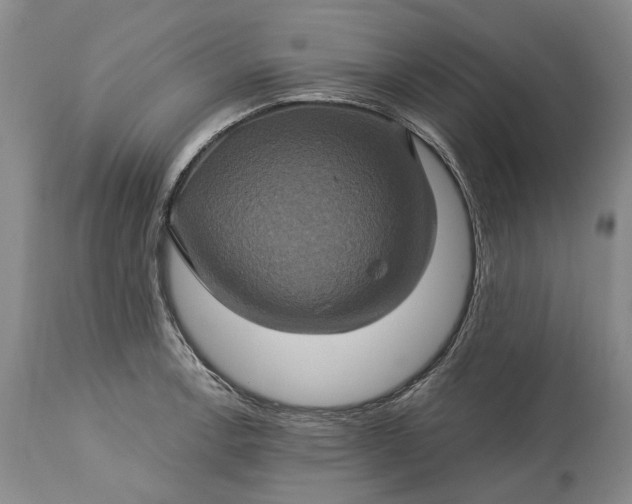 X0000115331138200911161802