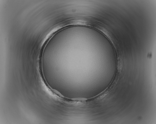 X0000115331139200911161802
