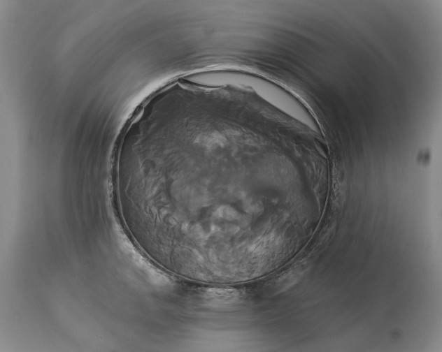 X0000115331142200911161802