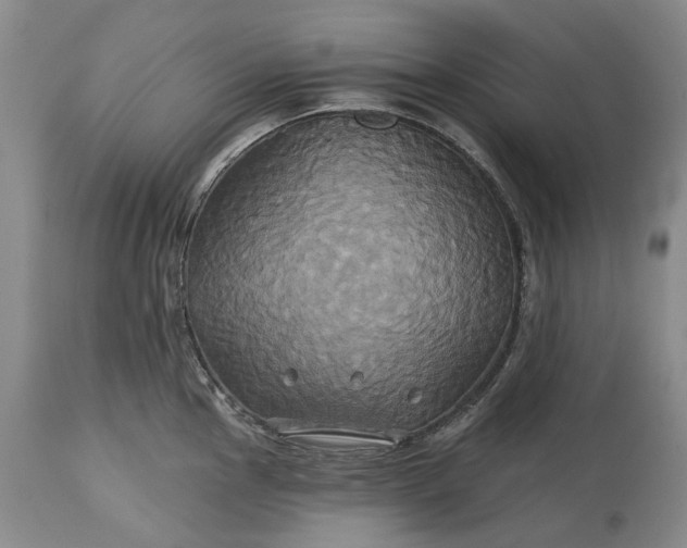 X0000115331145200911161803