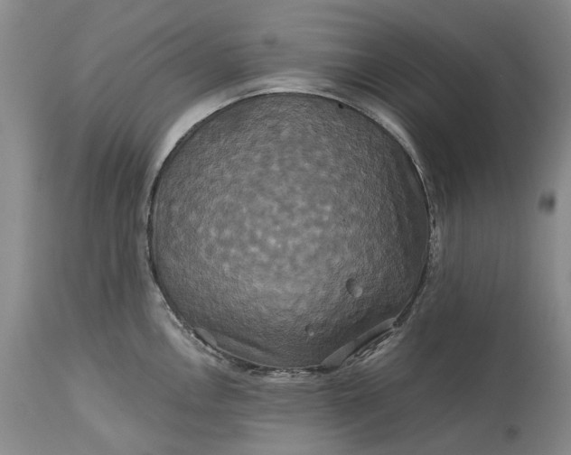 X0000115331146200911161803
