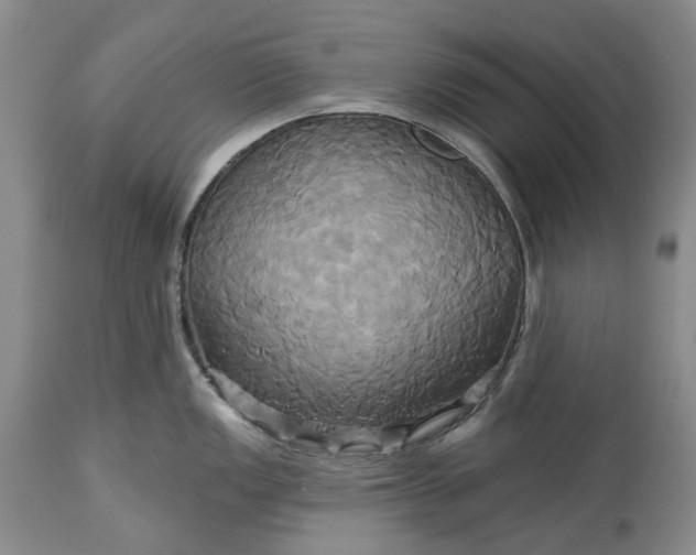 X0000115331149200911161803