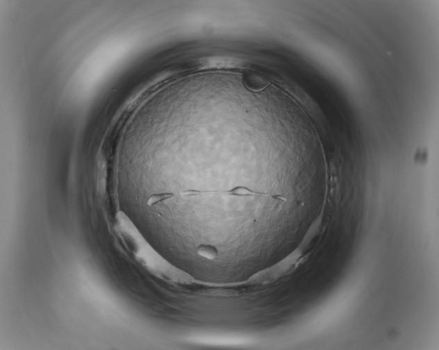 X0000115331151200911161803