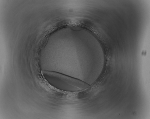 X0000115331153200911161802