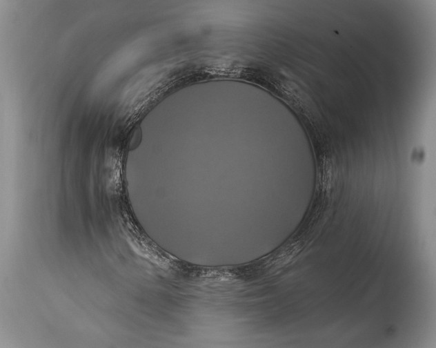 X0000115331154200911161802