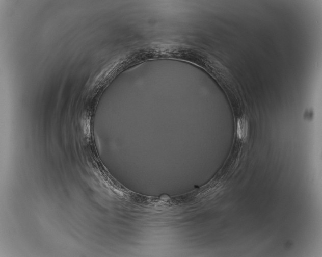 X0000115331155200911161802
