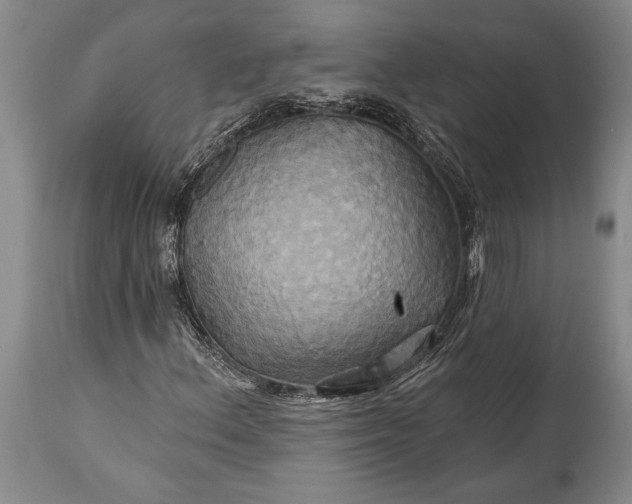 X0000115331156200911161802