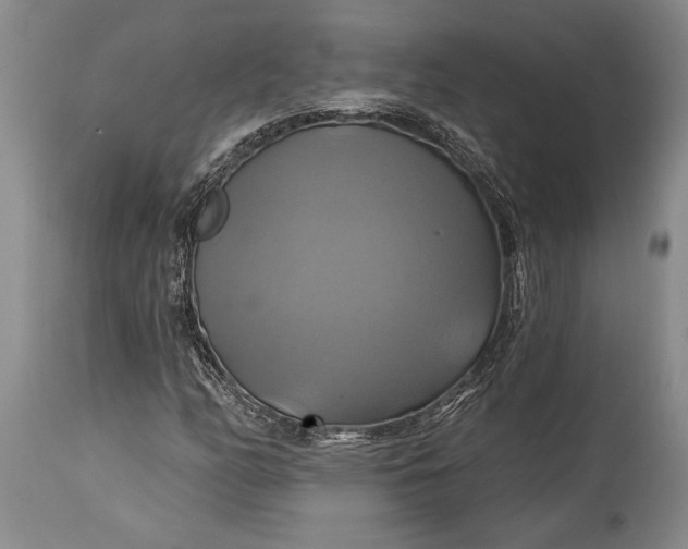 X0000115331158200911161802