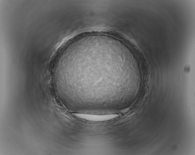 X0000115331160200911161802