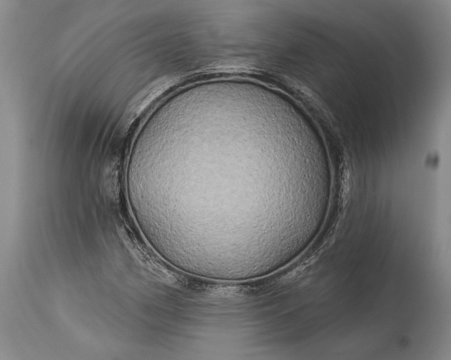 X0000115331162200911161802