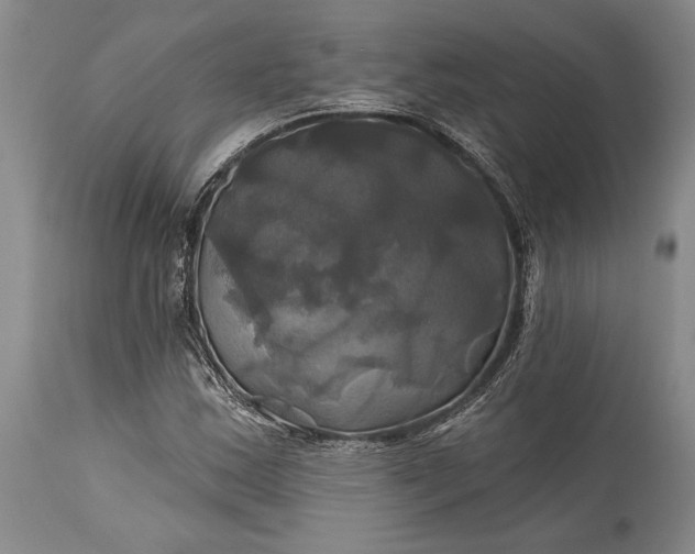 X0000115331163200911161802