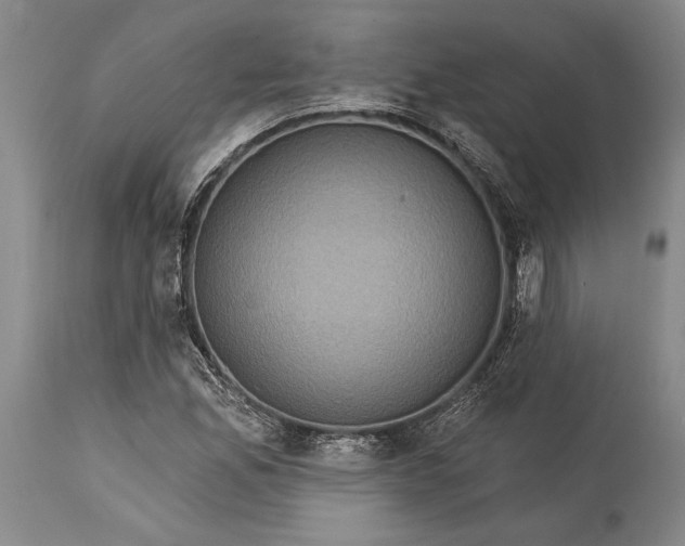 X0000115331165200911161802