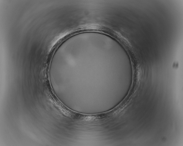 X0000115331166200911161802