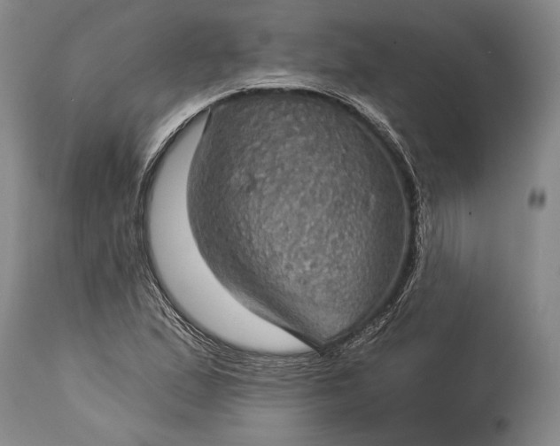 X0000115331167200911161802
