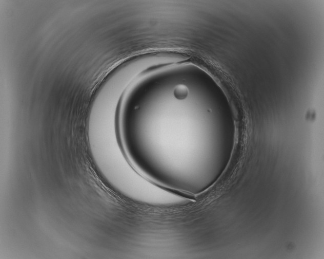 X0000115331169200911161802