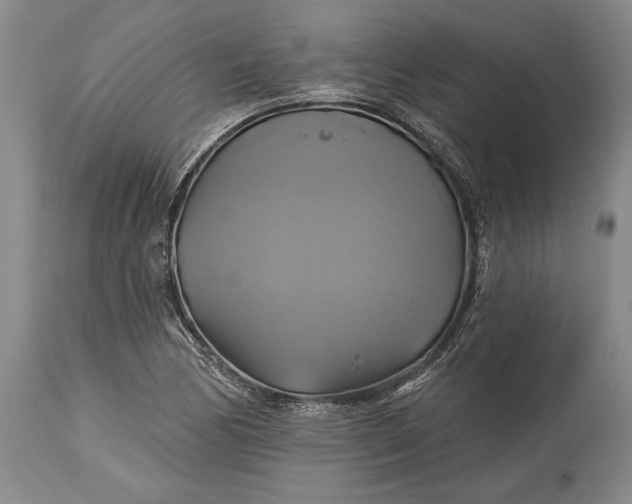X0000115331170200911161802
