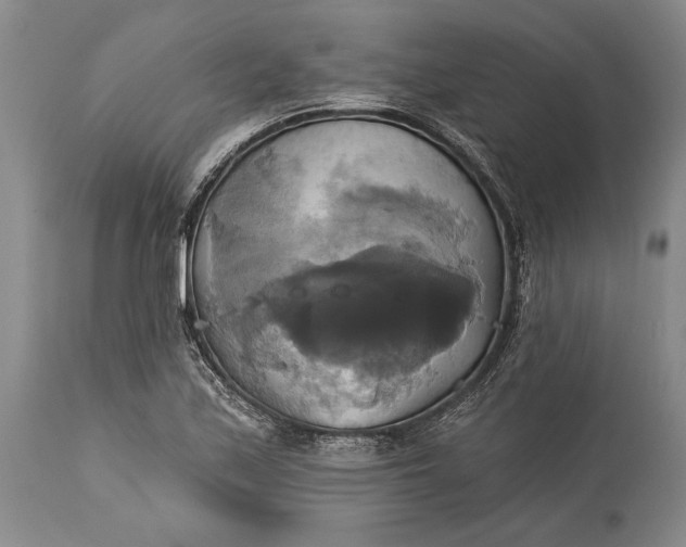 X0000115331171200911161802
