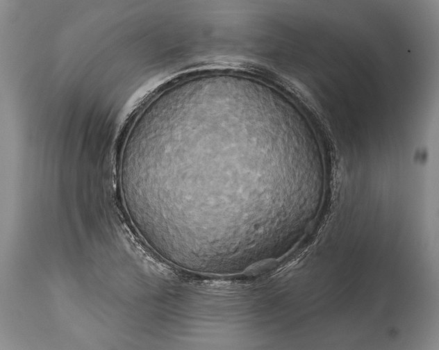 X0000115331172200911161802