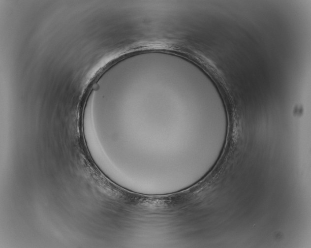 X0000115331174200911161802