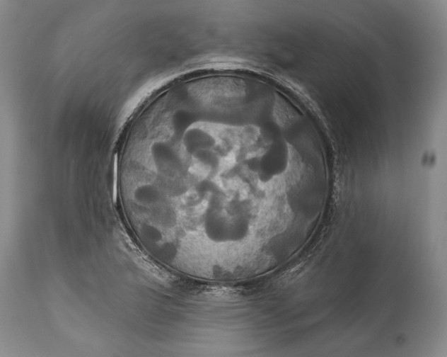 X0000115331175200911161802