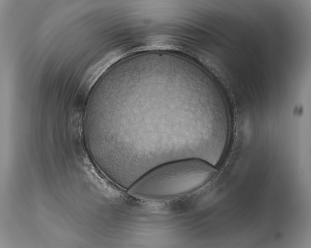 X0000115331177200911161802