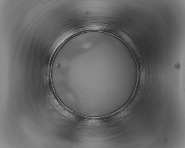 X0000115331178200911161802