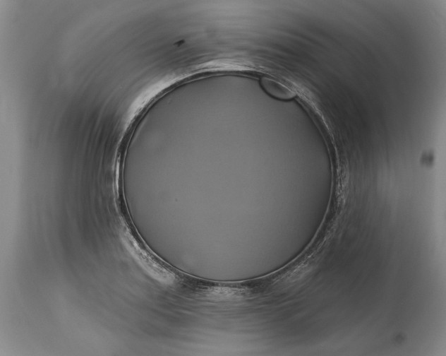 X0000115331179200911161802