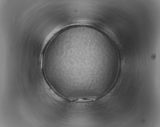 X0000115331180200911161801