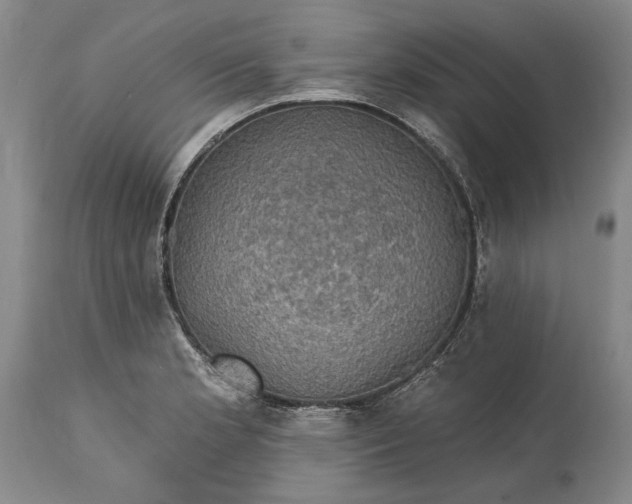 X0000115331181200911161801