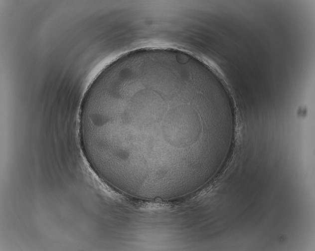 X0000115331183200911161801