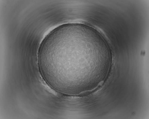 X0000115331184200911161801