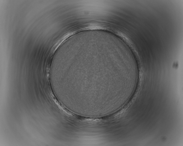 X0000115331185200911161801
