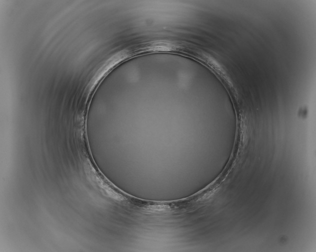 X0000115331186200911161801
