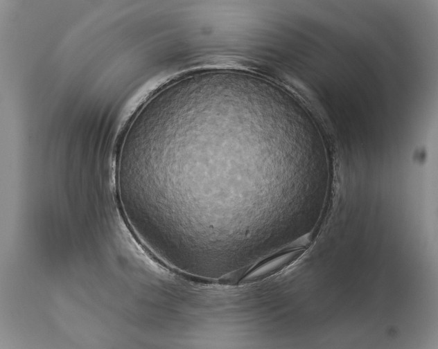 X0000115331188200911161801