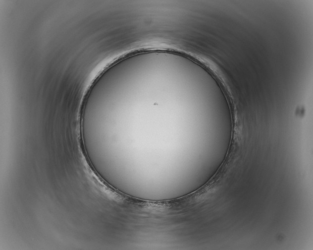 X0000115331191200911161801