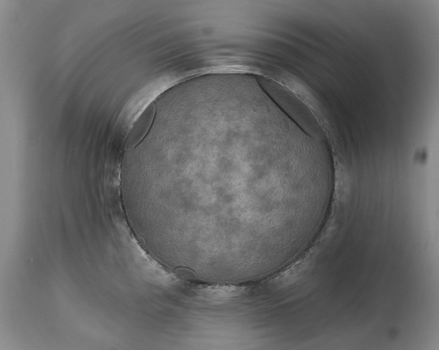X0000115331193200911161801