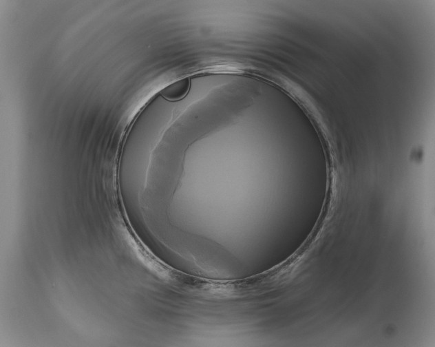 X0000115331194200911161801