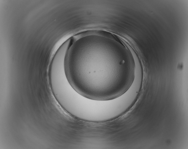 X0000115331196200911161801