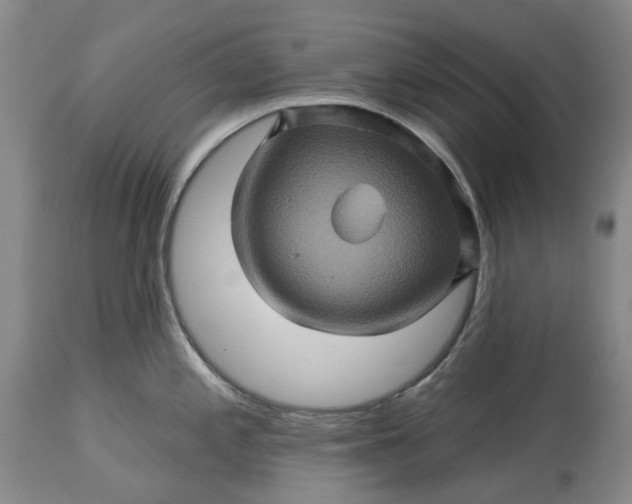 X0000115331197200911161801