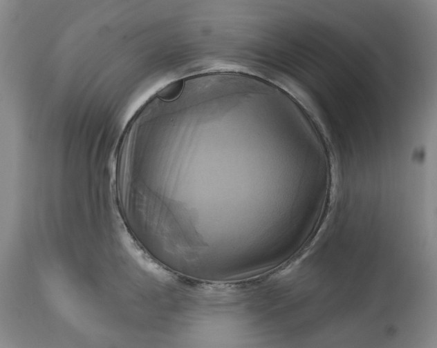 X0000115331198200911161801
