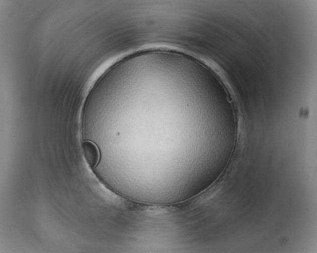 X0000115331199200911161801