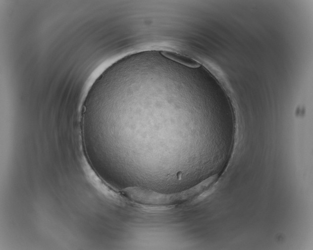 X0000115331200200911161801