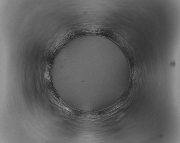 X0000115331202200911161801